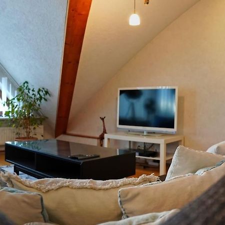 Grosse, Helle Wohnung Fuer Bis Zu 6 Personen Weinheim Ngoại thất bức ảnh